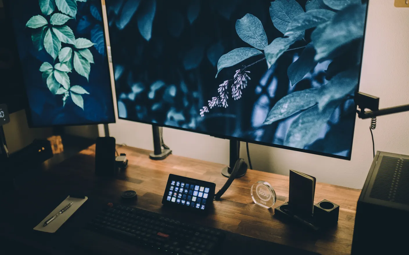 A desk with two monitors, the second one showing green leaves instead of work.